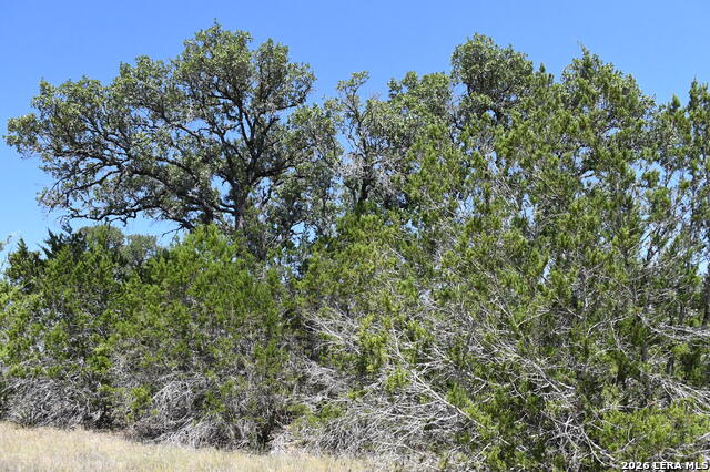 291 Serenity Pass Property Photo 13