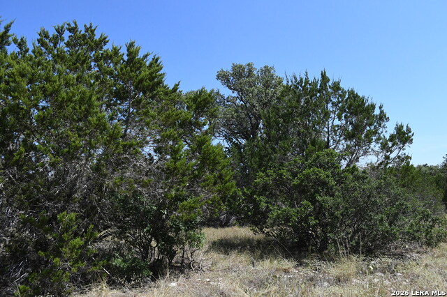 291 Serenity Pass Property Photo 16