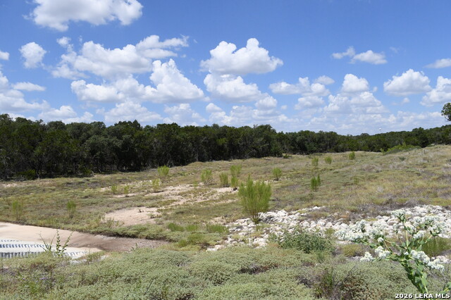 291 Serenity Pass Property Photo 17