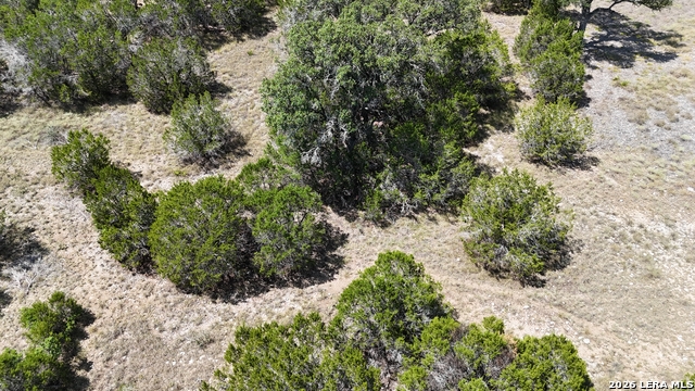 291 Serenity Pass Property Photo 27