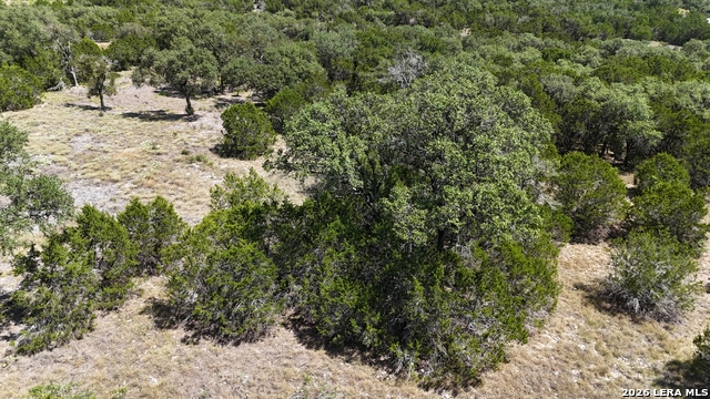 291 Serenity Pass Property Photo 28