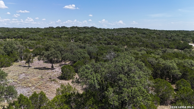 291 Serenity Pass Property Photo 29