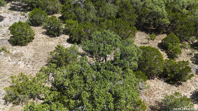 291 Serenity Pass Property Photo 31