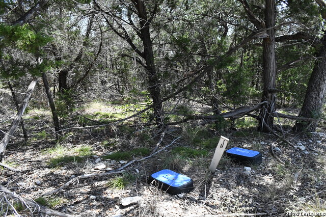 291 Serenity Pass Property Photo 34