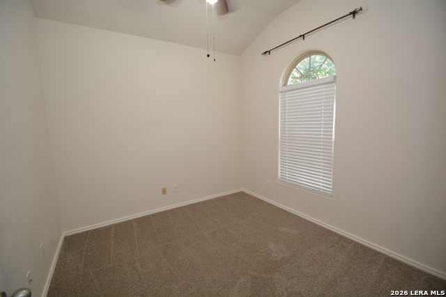 3735 Ox-eye Daisy Property Photo 2