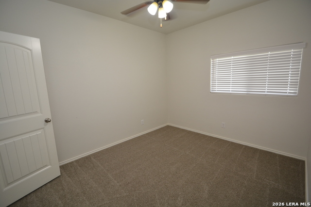3735 Ox-eye Daisy Property Photo 13