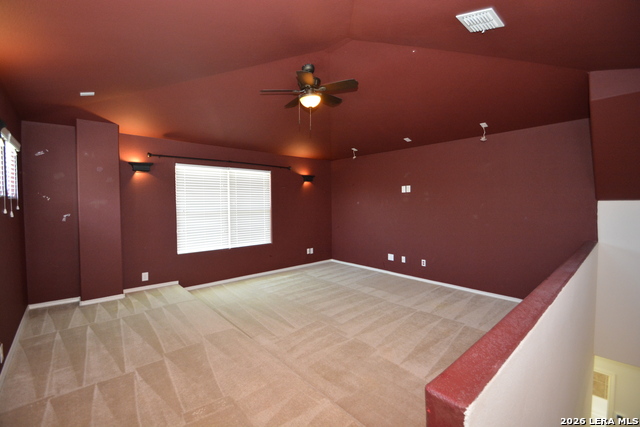 3735 Ox-eye Daisy Property Photo 14