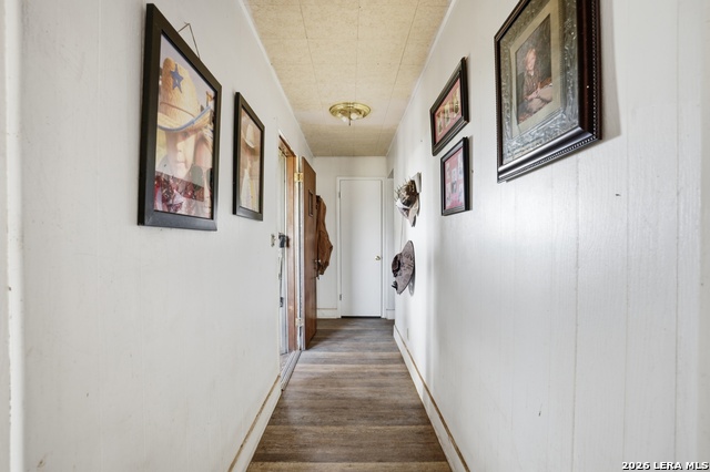 509 County Road 28 Property Photo 15