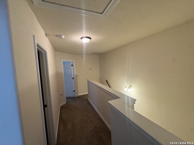 16807 Dancing Ava Property Photo 10