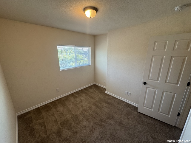 16807 Dancing Ava Property Photo 11