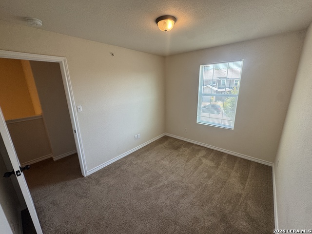 16807 Dancing Ava Property Photo 12