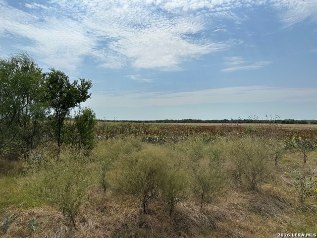 3640 Freudenburg Rd Property Photo 4