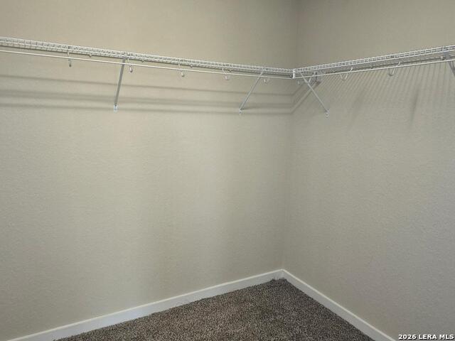 10711 Rosalina Loop Property Photo 23
