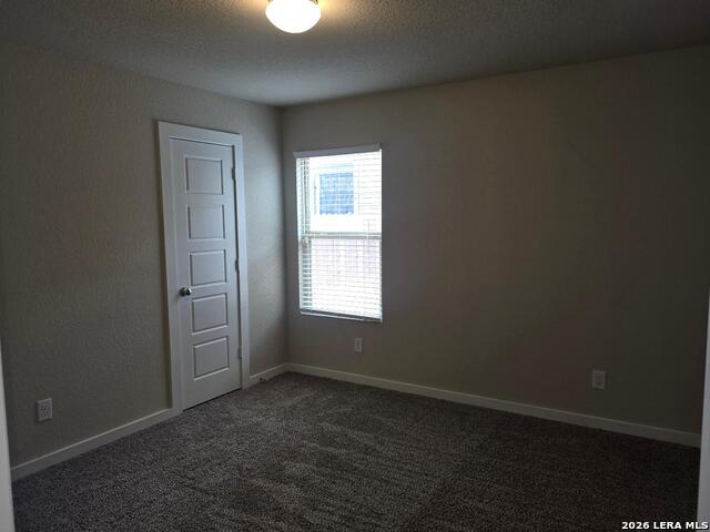 10711 Rosalina Loop Property Photo 31