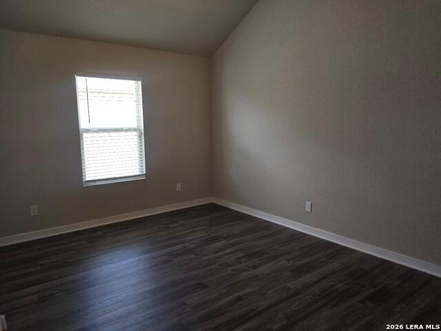10711 Rosalina Loop Property Photo 32