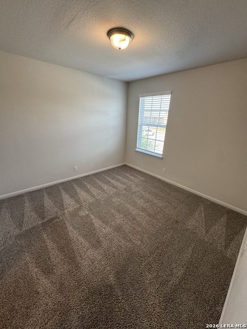 7510 Boxing Elm Property Photo 21