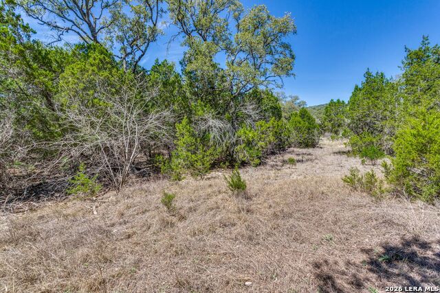 18561 Bandera Rd Property Photo 7