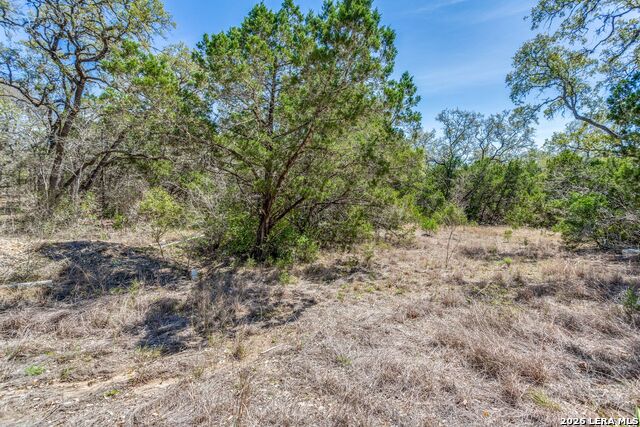 18561 Bandera Rd Property Photo 8