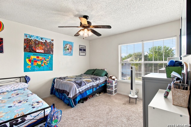 10210 Silverbrook Pl Property Photo 25