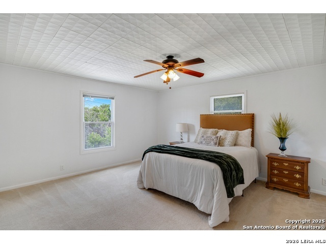 31946 Jay Bird Ln Property Photo 10