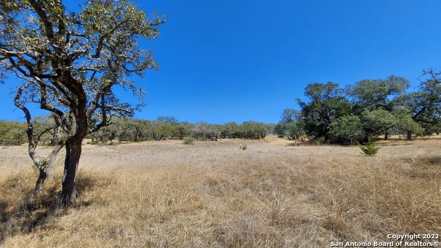 928 Annabelle Ave Property Photo 4