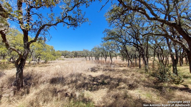 928 Annabelle Ave Property Photo 5