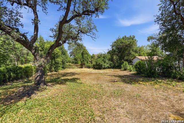 329 Vine Property Photo 28