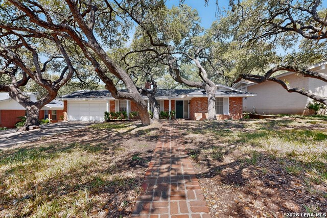 10911 Janet Lee Dr Property Photo 4