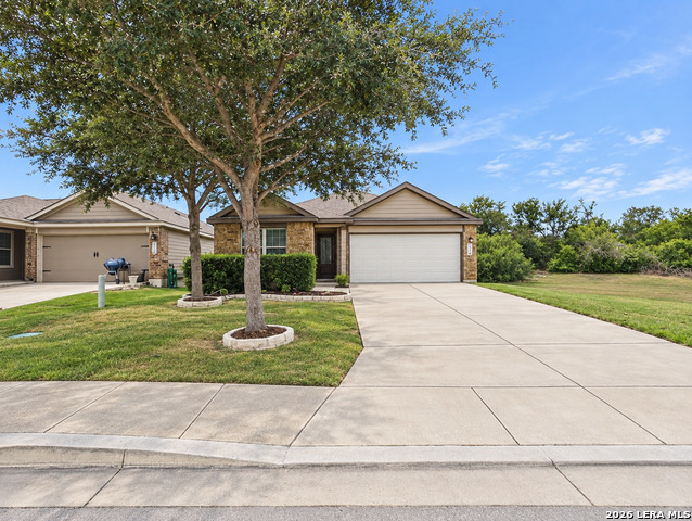 2934 Meadow