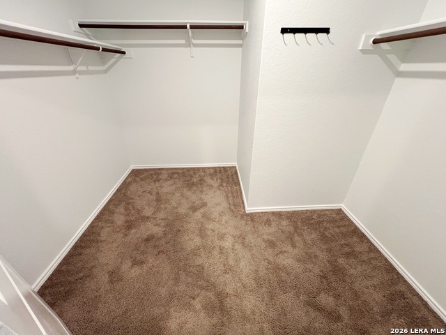13106 Levi Ter Property Photo 29