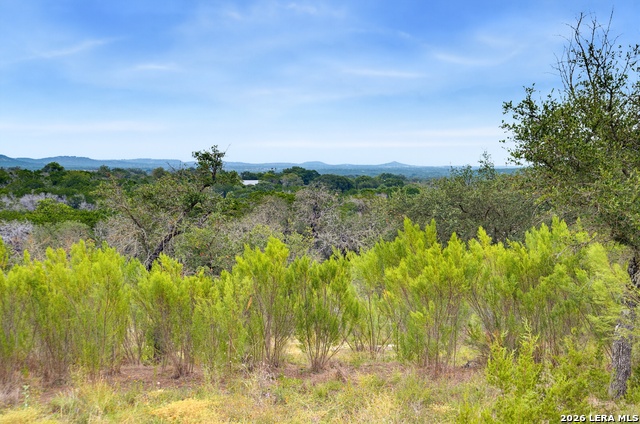 493 Lazy Valley Property Photo 17