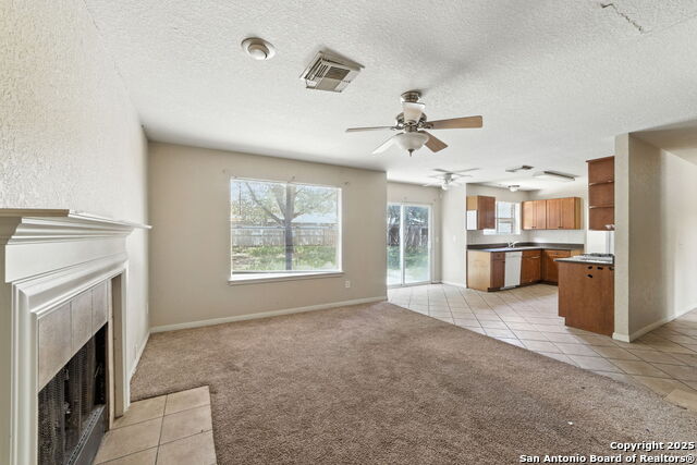 10315 Mustang Ridge Rd Property Photo 11