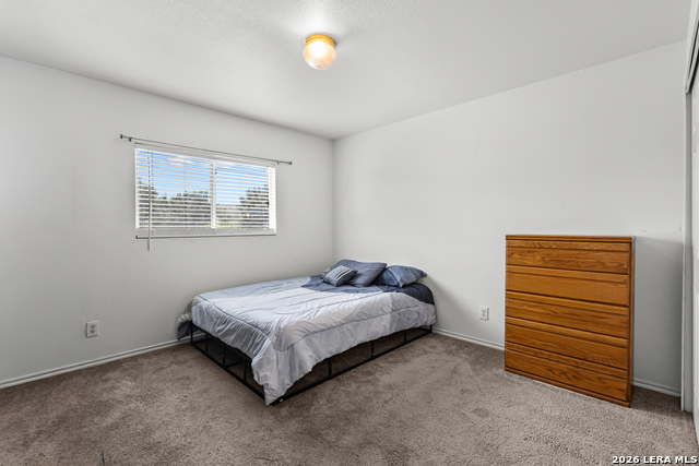 3526 Carruthers Oak Property Photo 26