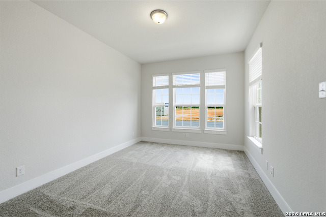 17309 Scotch Pine Dr Property Photo 8
