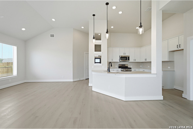17309 Scotch Pine Dr Property Photo 12