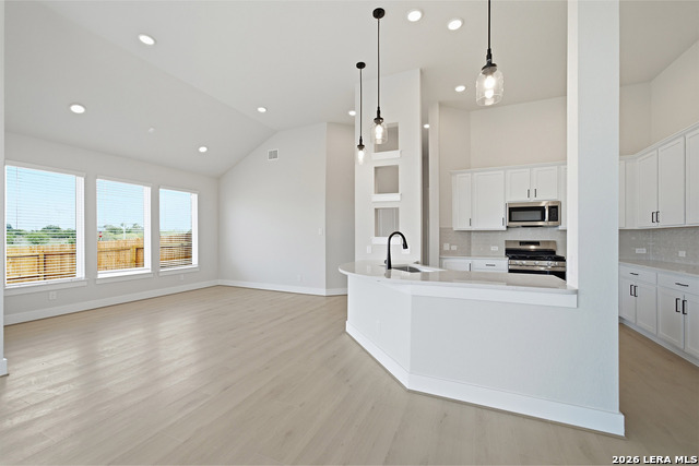 17309 Scotch Pine Dr Property Photo 13