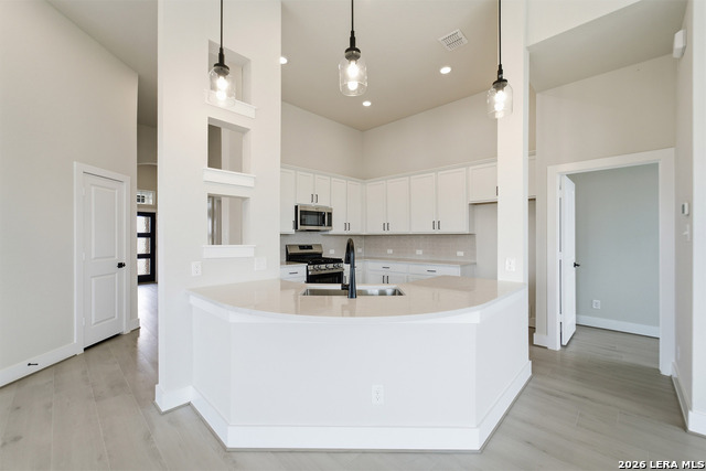 17309 Scotch Pine Dr Property Photo 17