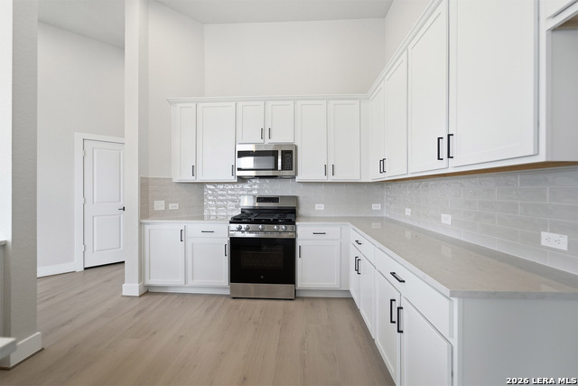 17309 Scotch Pine Dr Property Photo 18
