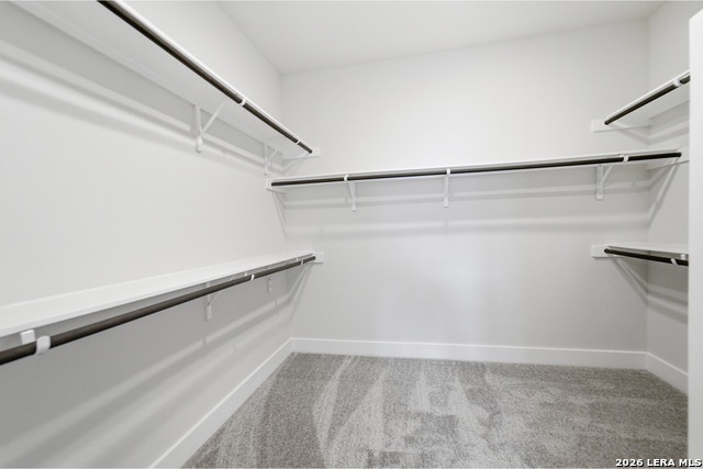 17309 Scotch Pine Dr Property Photo 22