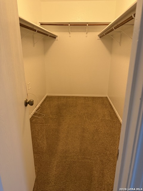 417 Hampton Cv Property Photo 6
