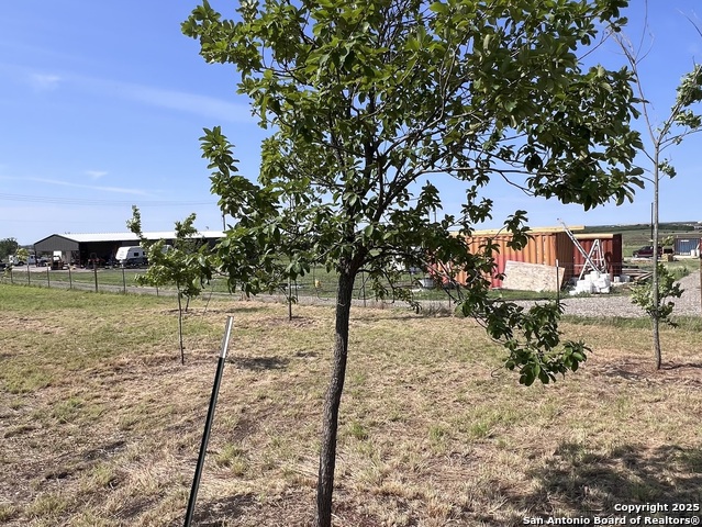 11875 Ware Seguin Rd Property Photo 15