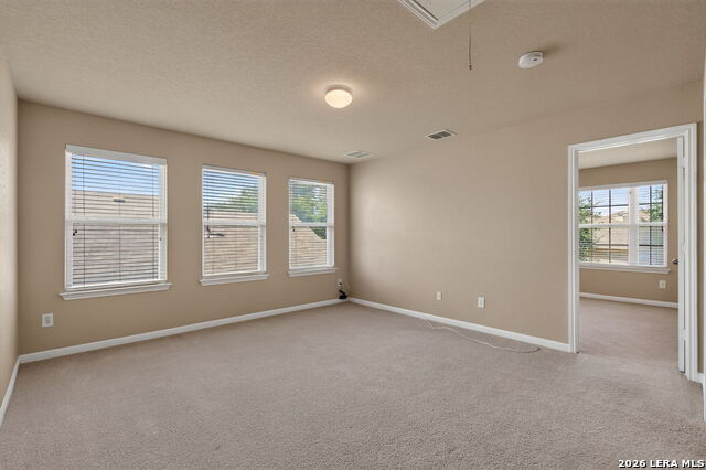 7230 Willow Rain Property Photo 19