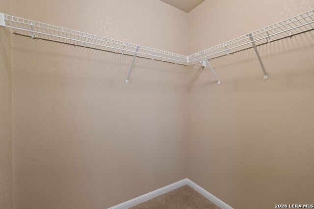 7230 Willow Rain Property Photo 22
