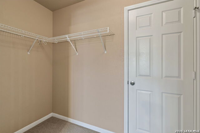 7230 Willow Rain Property Photo 27
