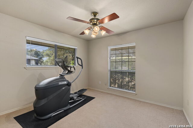 360 Bear Ridge Dr Property Photo 24
