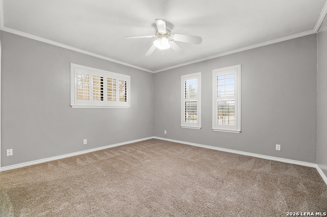 249 Ralston Property Photo 18