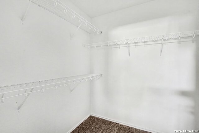 5239 Stormy Trl Property Photo 12