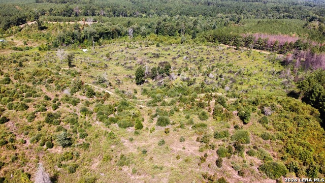 9515 County Road 817 Property Photo 18