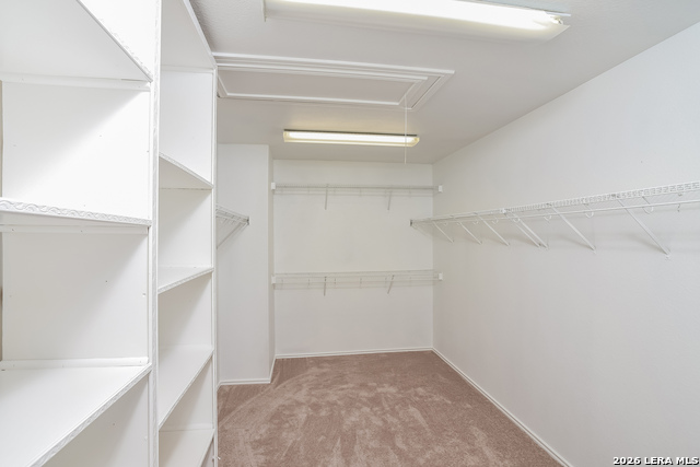 6122 Kenedy Leaf Property Photo 9