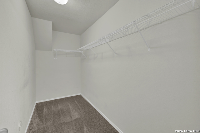 453 Nova Zembla Property Photo 32
